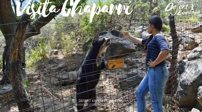 Chaparrí: Turismo en el Bosque Seco Peruano - Qué significa la palabra chaparri chaparri turismo - Qué significa la palabra chaparri