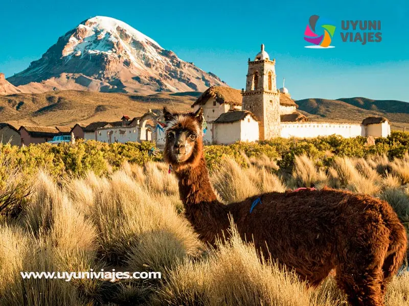 sajama turismo - Qué significa la palabra Sajama