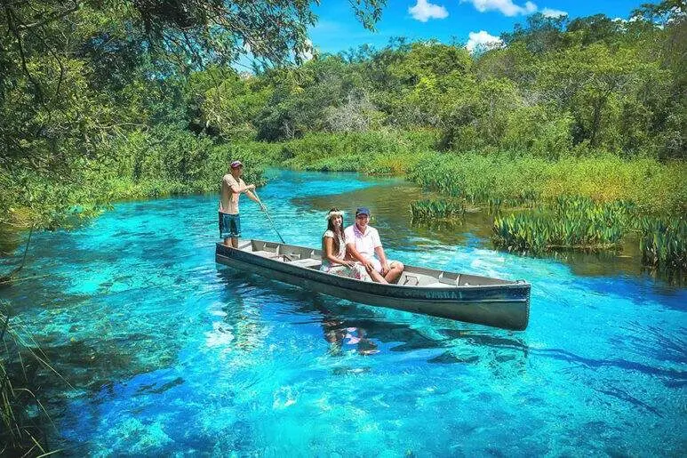mato grosso turismo - Qué significa Mato Grosso en Brasil