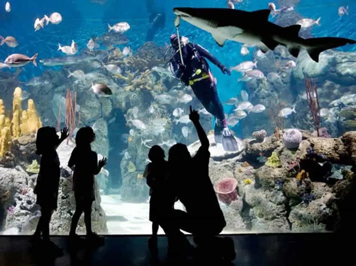 Temaikèn: Una experiencia inigualable en el turismo argentino - Qué significa Temaikèn en Argentina temaiken en turismo - Qué significa Temaikèn en Argentina
