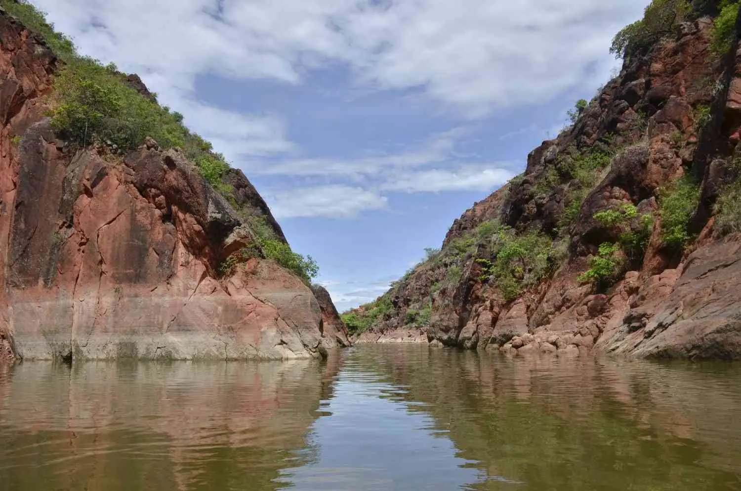 yaguara turismo - Qué significa yaguará