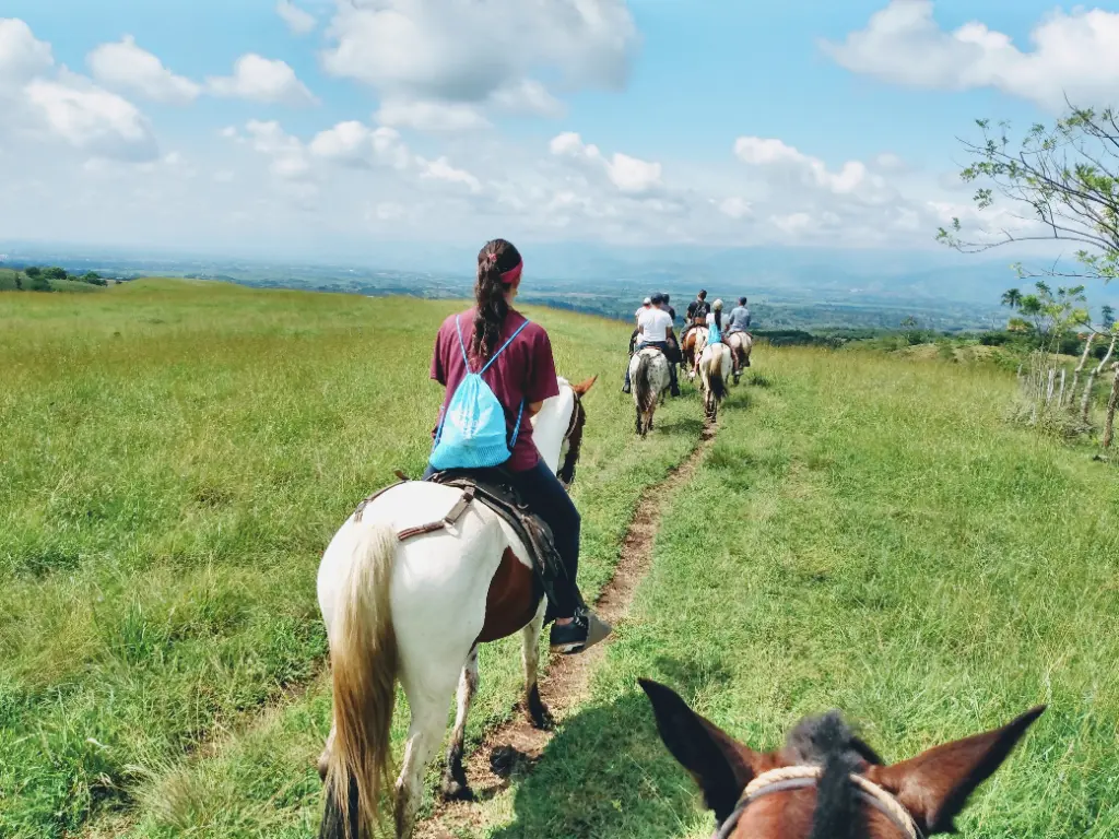 Cabalgata en Turismo: Definición, Propósito y Experiencias - Qué significado tienen las cabalgatas cabalgata en turismo definicion - Qué significado tienen las cabalgatas