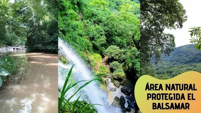 ANP El Balsamar: Turismo y Conservación en Armonía - Qué son las ANP El Salvador anp el balsamar turismo - Qué son las ANP El Salvador