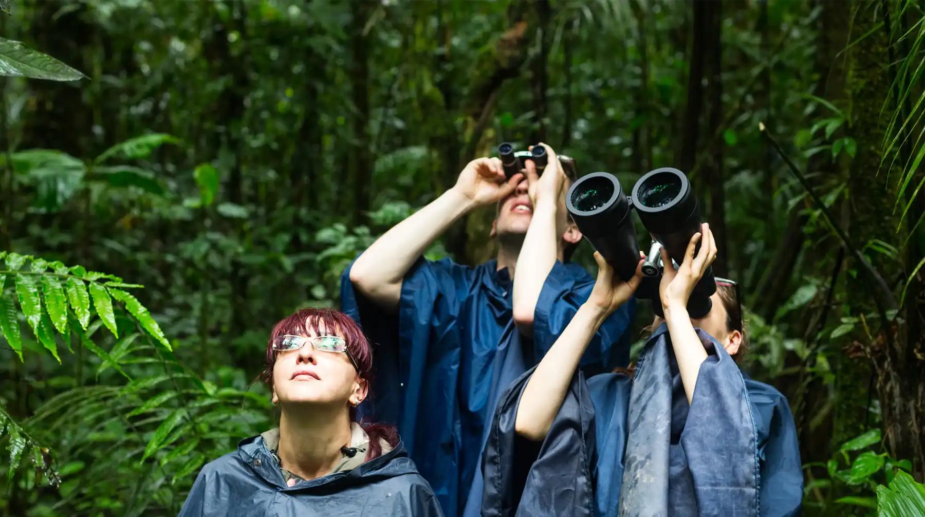 Actividades Didácticas, Giras de Campo y Turismo Educativo - Qué son las giras de campo actividades didácticas giras e campo turismo - Qué son las giras de campo