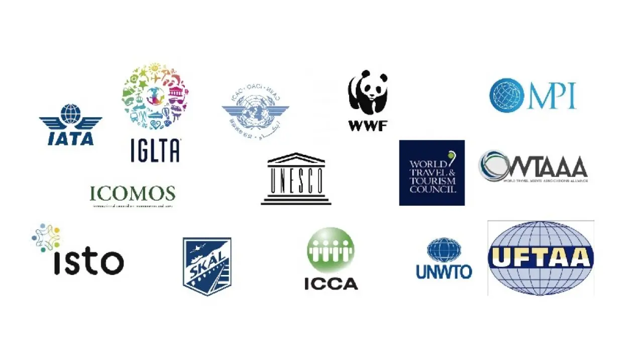 organismos no gubernamentales en mexico turismo - Qué son las organizaciones no gubernamentales en México