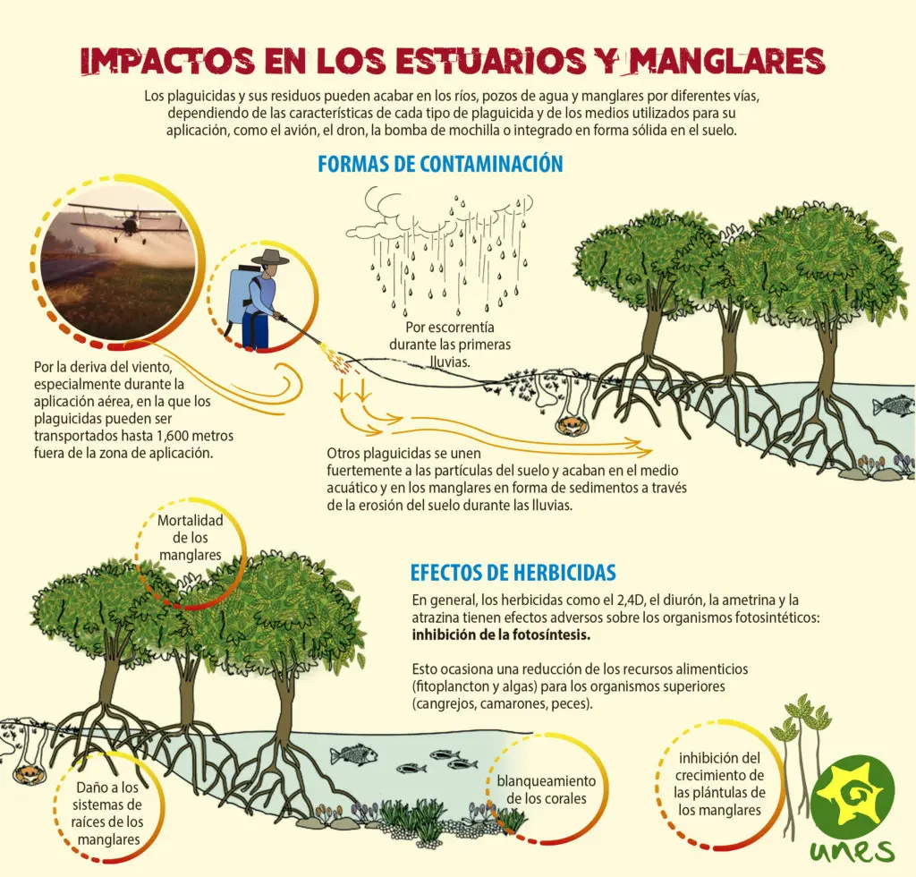 Consecuencias de los Agroquímicos en el Turismo: Un Análisis exhaustivo - Qué son los agroquímicos y por qué son peligrosos que concecuencia traen los agroquimmicos on respecto a el turismo - Qué son los agroquímicos y por qué son peligrosos