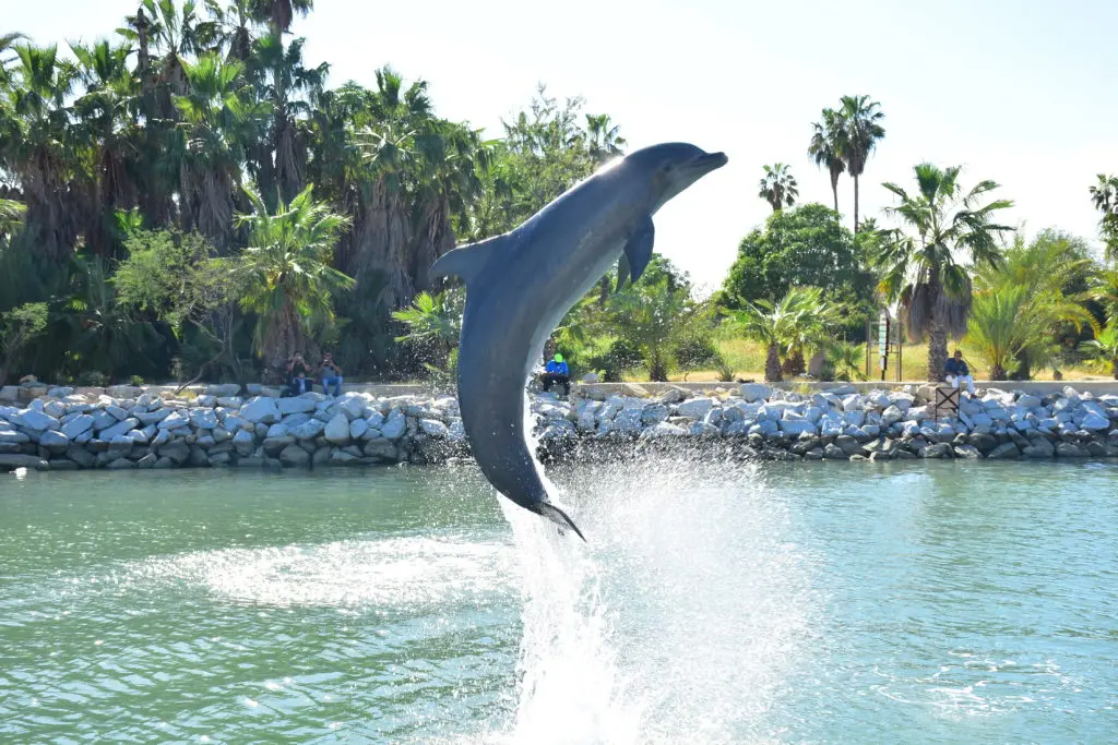 Los Cabos San Lucas: Turismo, Costos y Planificación de tu Viaje - Qué tan caro es Cabo San Lucas los cabos san lucas turismo - Qué tan caro es Cabo San Lucas