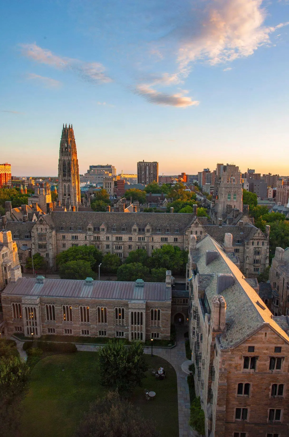 Carrera de Turismo en Yale: Costos, Admisiones y Más - Qué tan difícil es entrar a Yale carrera de turismo en yale - Qué tan difícil es entrar a Yale