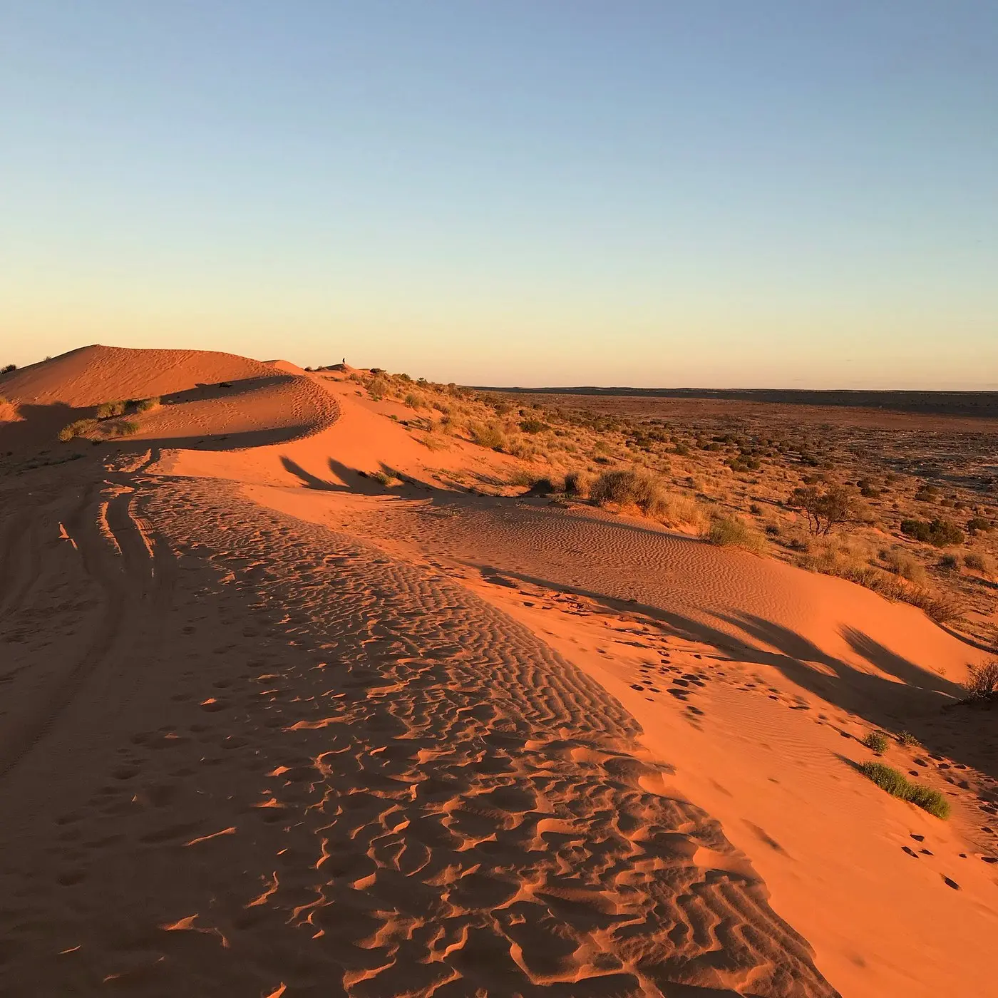 Desierto de Simpson: Turismo en el corazón de Australia - Qué tan grande es el desierto de Simpson desierto de simpson turismo - Qué tan grande es el desierto de Simpson