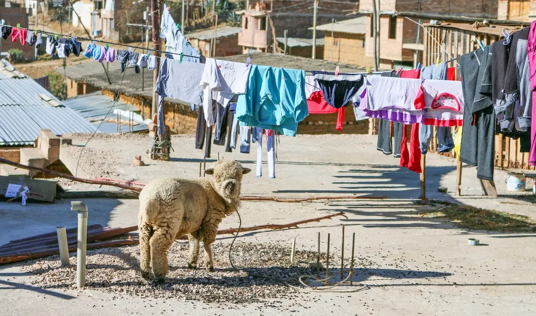 cajamarca turismo pobreza niños - Qué tan segura es Cajamarca