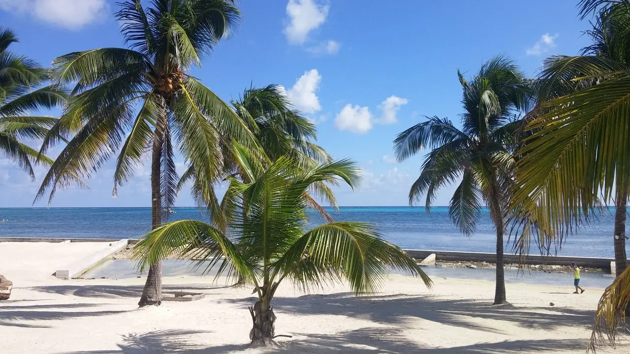 San Pedro Belice: La Guía Definitiva para Tu Próxima Aventura Turística - Qué tan turístico es San Pedro Belice san pedro belice turismo - Qué tan turístico es San Pedro Belice