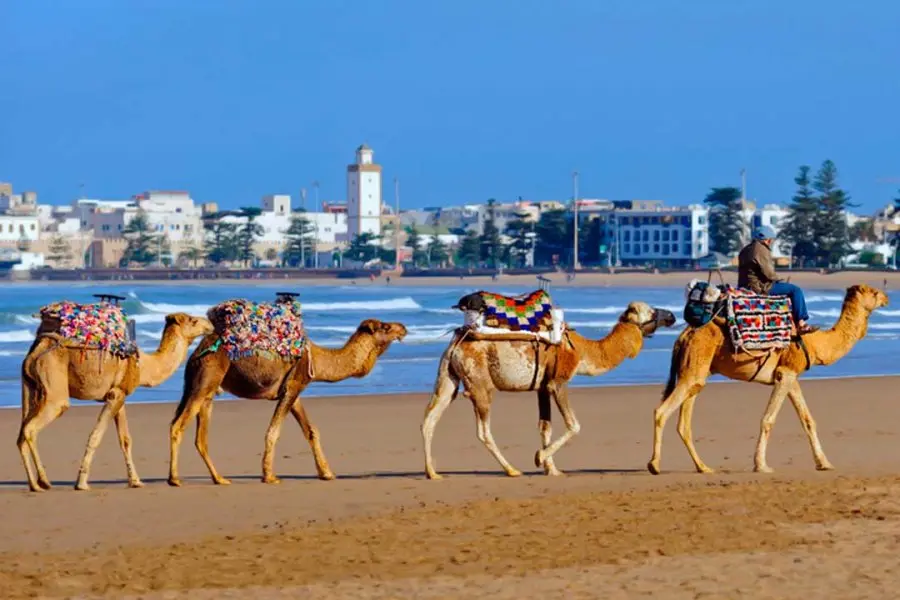 Página Oficial Turismo Marruecos: Guía Completa para tu Viaje - Qué tarjetas aceptan en Marruecos pagina oficial turismo marruecos - Qué tarjetas aceptan en Marruecos