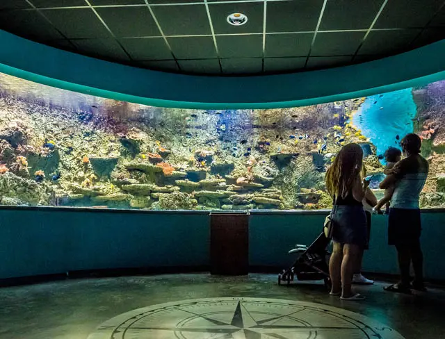 Acuario de Sevilla: Guía Completa para Tu Visita - Qué tiburones hay en el acuario de Sevilla lugar turismo de sevilla acuario - Qué tiburones hay en el acuario de Sevilla