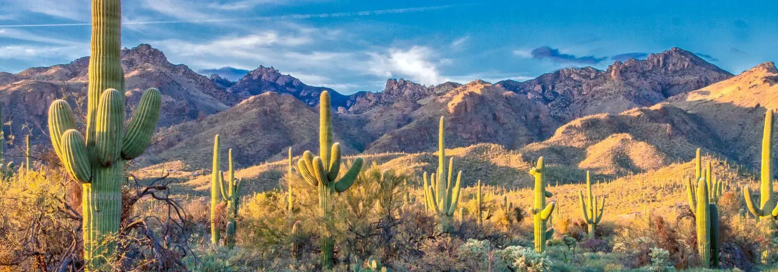 Arizona: Un Destino Turístico Inigualable en EE. UU. - Qué tiene de especial Arizona arizona ee uu turismo - Qué tiene de especial Arizona