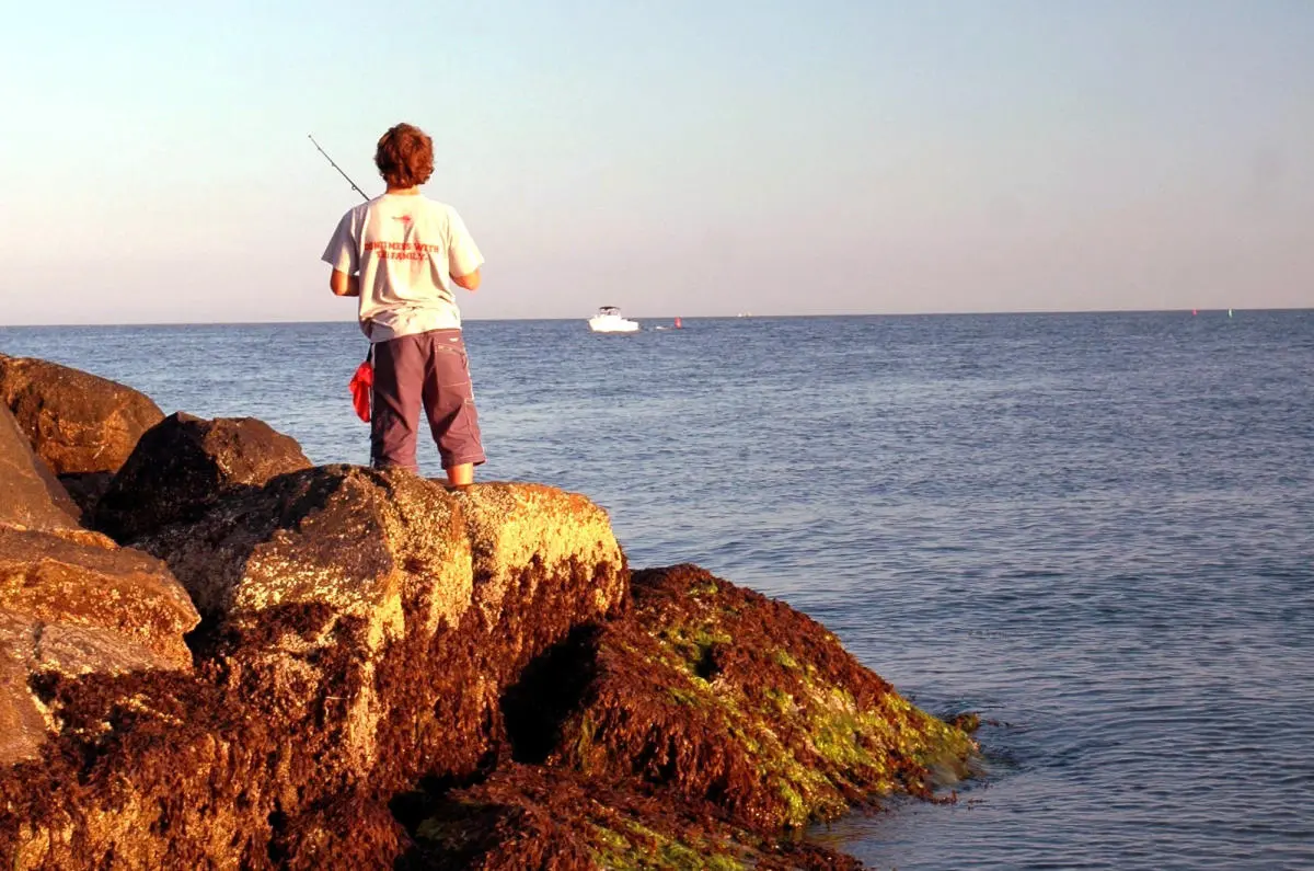 <b>Cape Cod: La Guía Definitiva para tu Turismo en la Península</b> - Qué tiene de especial Cape Cod cape cod turismo - Qué tiene de especial Cape Cod