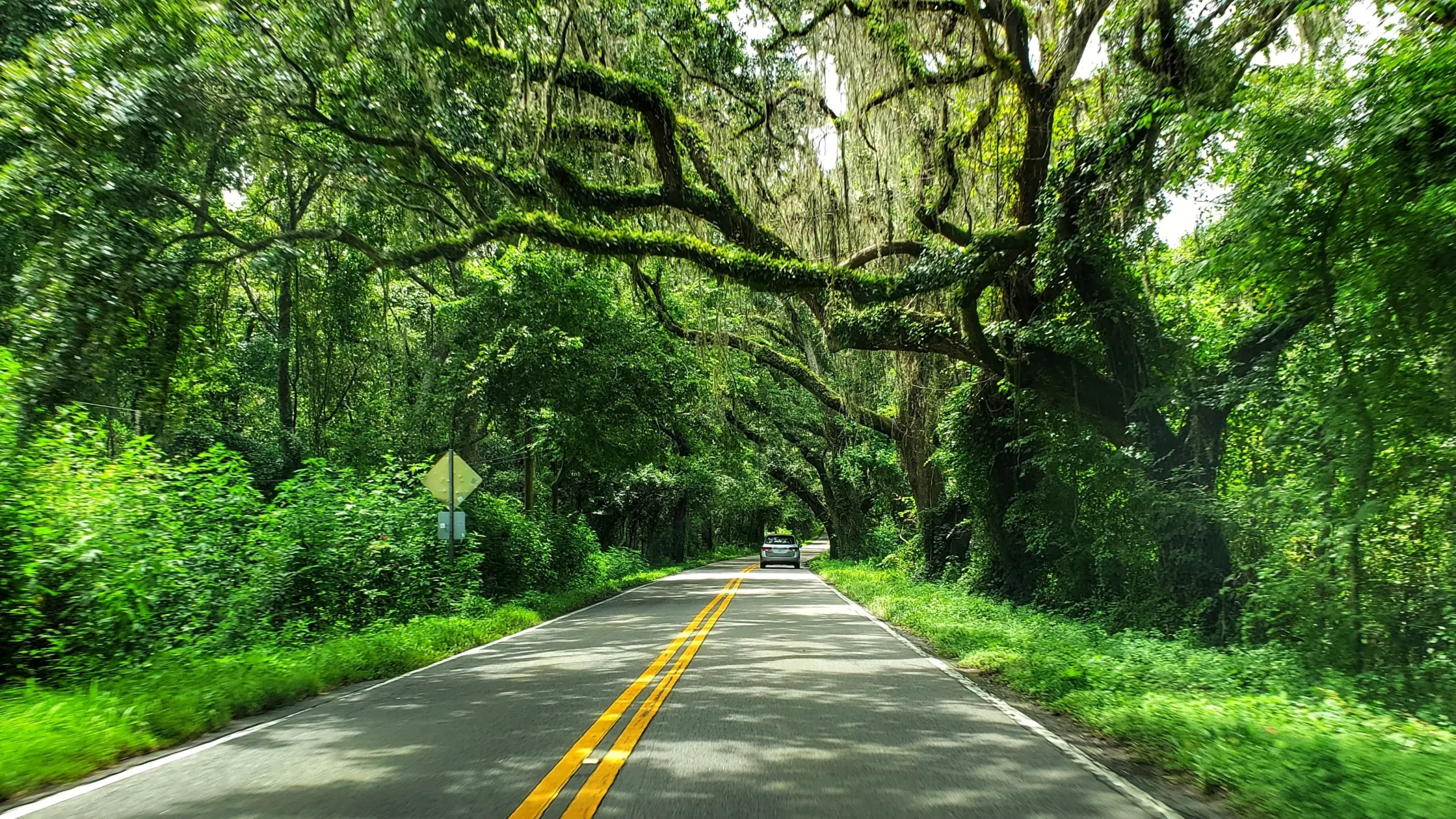 Tallahassee Turismo: Guía Completa para tu escapada a la Capital de Florida - Qué tiene Tallahassee para ofrecer tallahassee turismo - Qué tiene Tallahassee para ofrecer