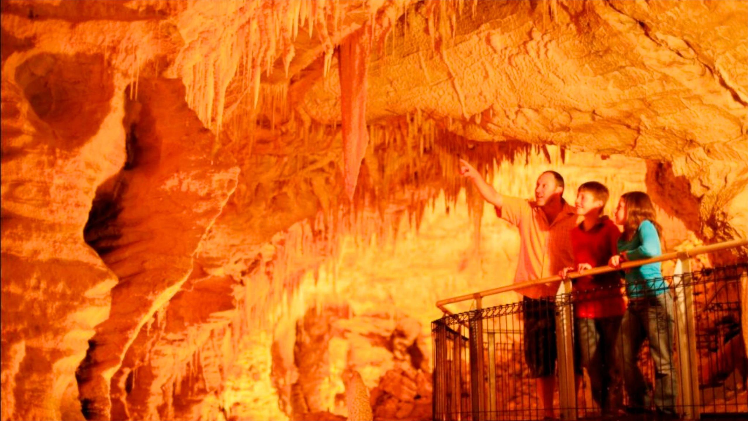 Cuevas de Waitomo: Turismo y Luciérnagas - Qué tienen de especial las cuevas de Waitomo cuevas de waitomo turismo - Qué tienen de especial las cuevas de Waitomo