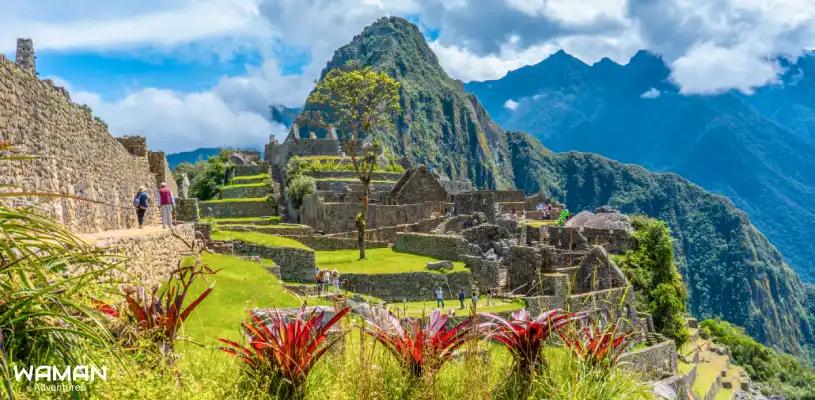 Clima, Turismo, Flora y Fauna de Machu Picchu: Una Guía Completa - Qué tipo de clima tiene Machu Picchu clima turismo flora y fauna de machu picchu - Qué tipo de clima tiene Machu Picchu