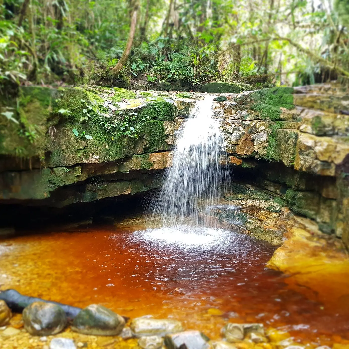 morona santiago turismo - Qué tipo de clima tiene Morona Santiago