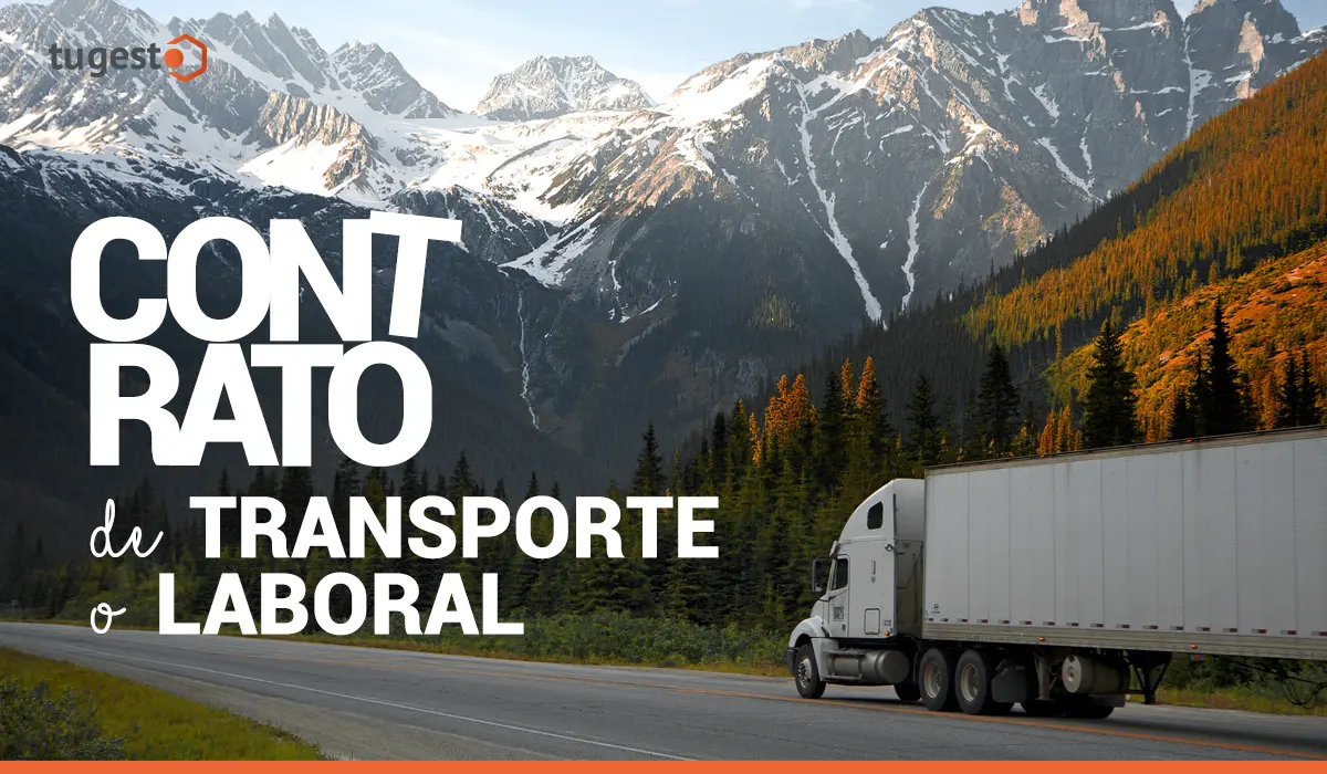 contrato de trabajo chofer particular turismo chile - Qué tipo de contrato tiene un camionero