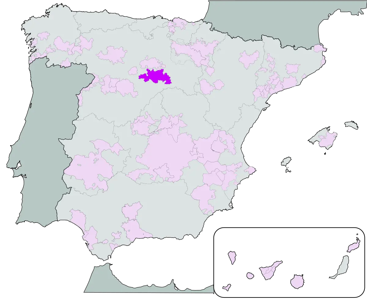 ribera del duero turismo - Qué tipo de vino es el Ribera del Duero
