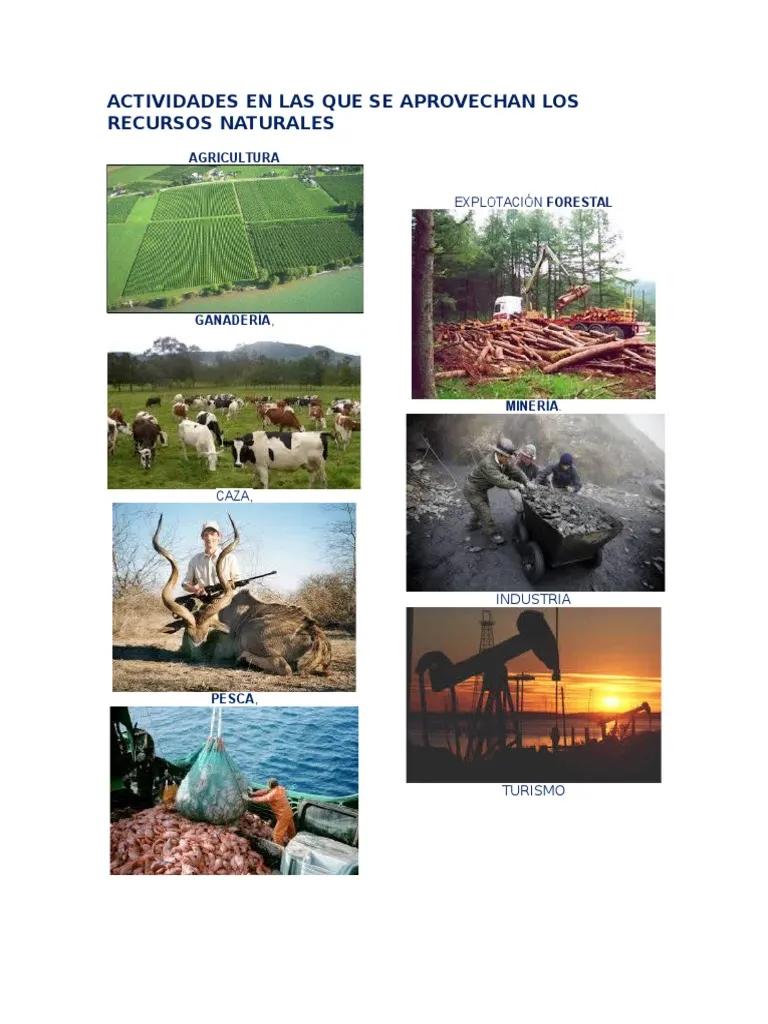 Imágenes de las actividades económicas: Explotación turística - Qué tipos de actividades económicas existen imagenes de las actividades economicas explotacion turismo - Qué tipos de actividades económicas existen