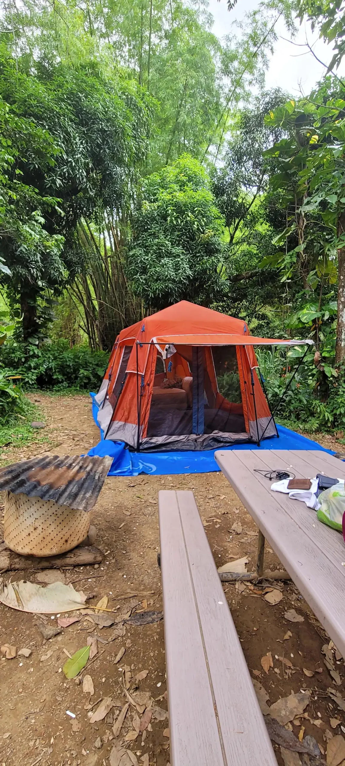Camping Tiemo: La Guía Definitiva para tu Aventura al Aire Libre - Qué tipos de campamentos hay camping tiemo turismo - Qué tipos de campamentos hay