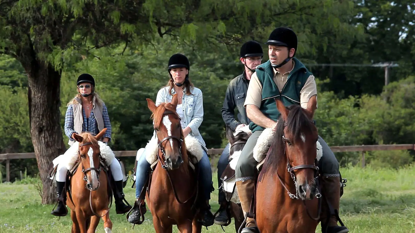 Turismo Ecuestre: Un Mundo de Experiencias a Caballo - Qué tipos de deportes ecuestres hay turismo hipico - Qué tipos de deportes ecuestres hay