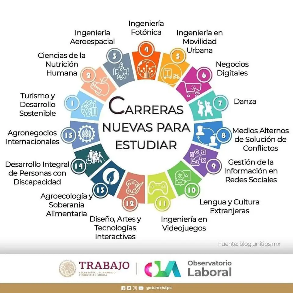 ciencias sociales y turismo campo laboral demanda - Qué trabajo puedo conseguir si estudio ciencias sociales