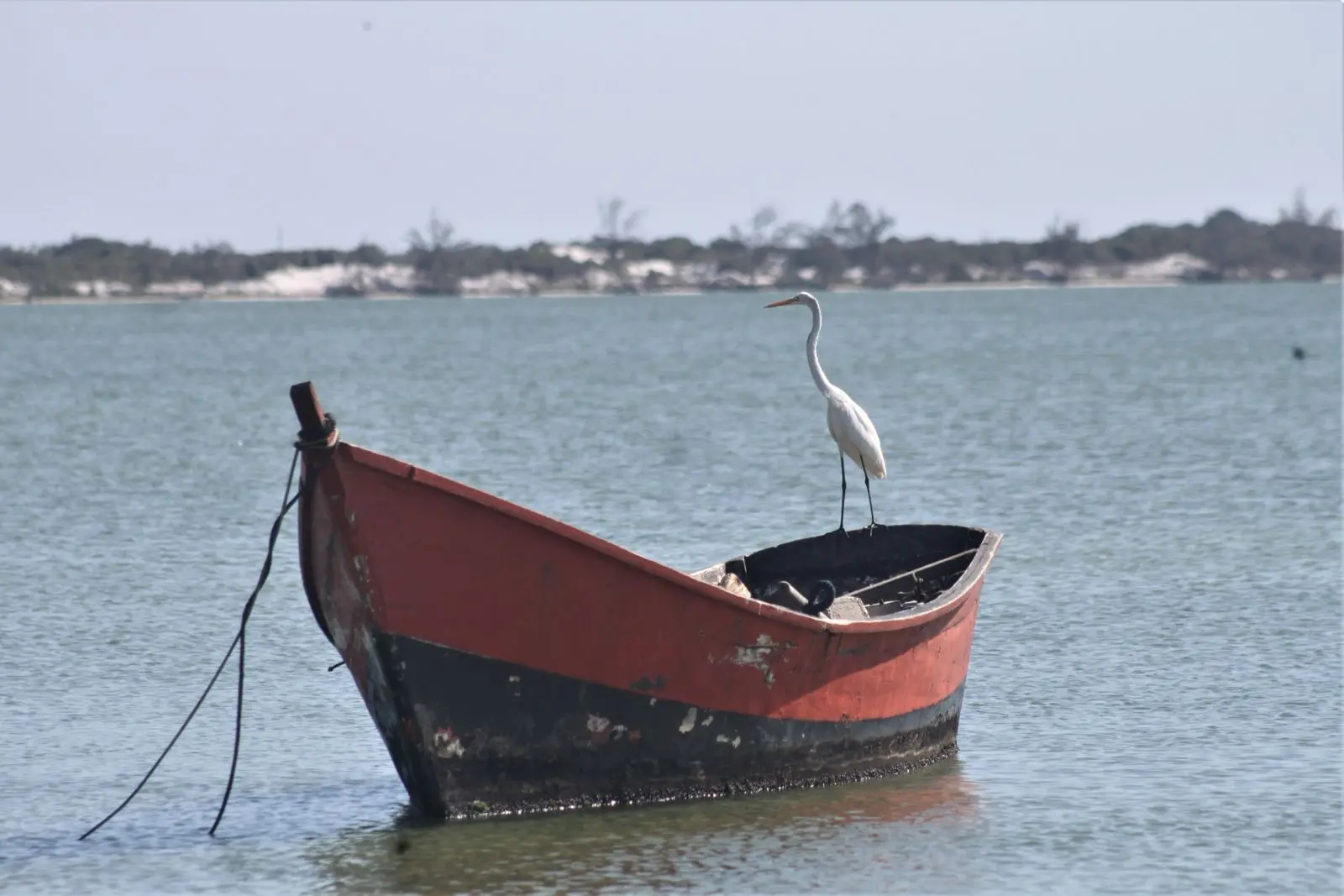 turismo del estado anzoategui - Qué ver en Anzoátegui