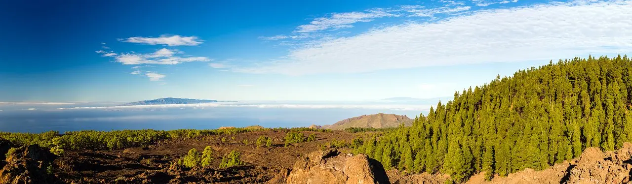 turismo en la palma las tablas - Qué ver en La Palma en 2024