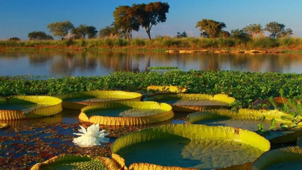turismo provincia de santa fe - Qué ver en la provincia de Santa Fe, Argentina
