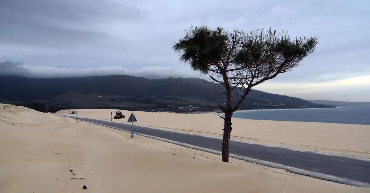 Estrecho de Gibraltar: Turismo, Historia y Cómo Llegar - Qué visitar en el Estrecho de Gibraltar estrecho de gibraltar turismo - Qué visitar en el Estrecho de Gibraltar