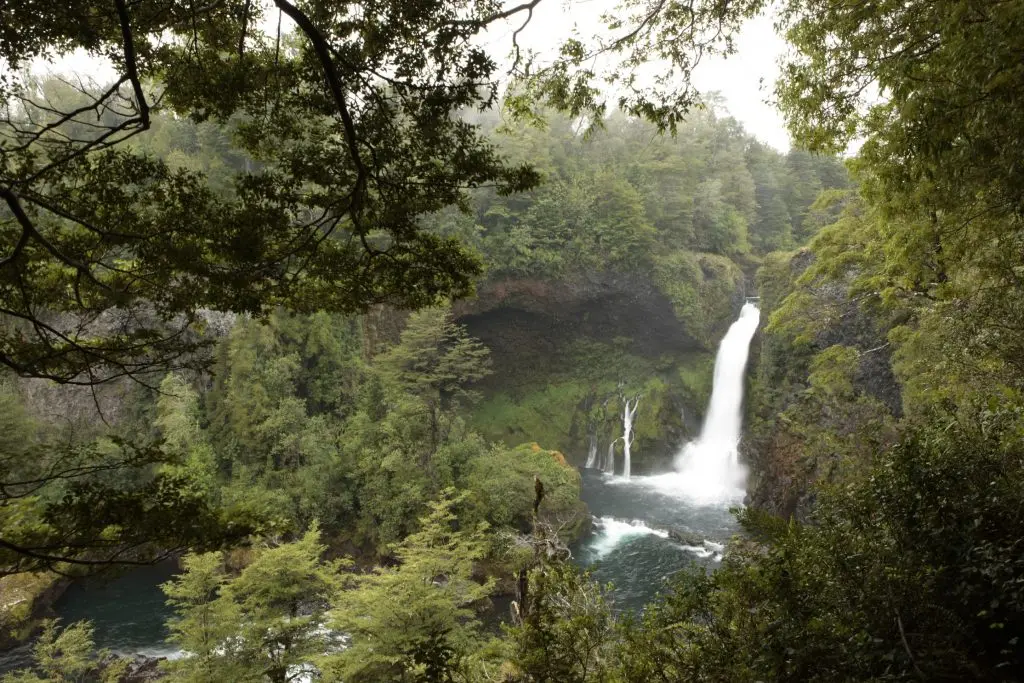Turismo en Corral y Valdivia: Una Guía Completa - Qué visitar en Valdivia gratis corral valdivia turismo - Qué visitar en Valdivia gratis