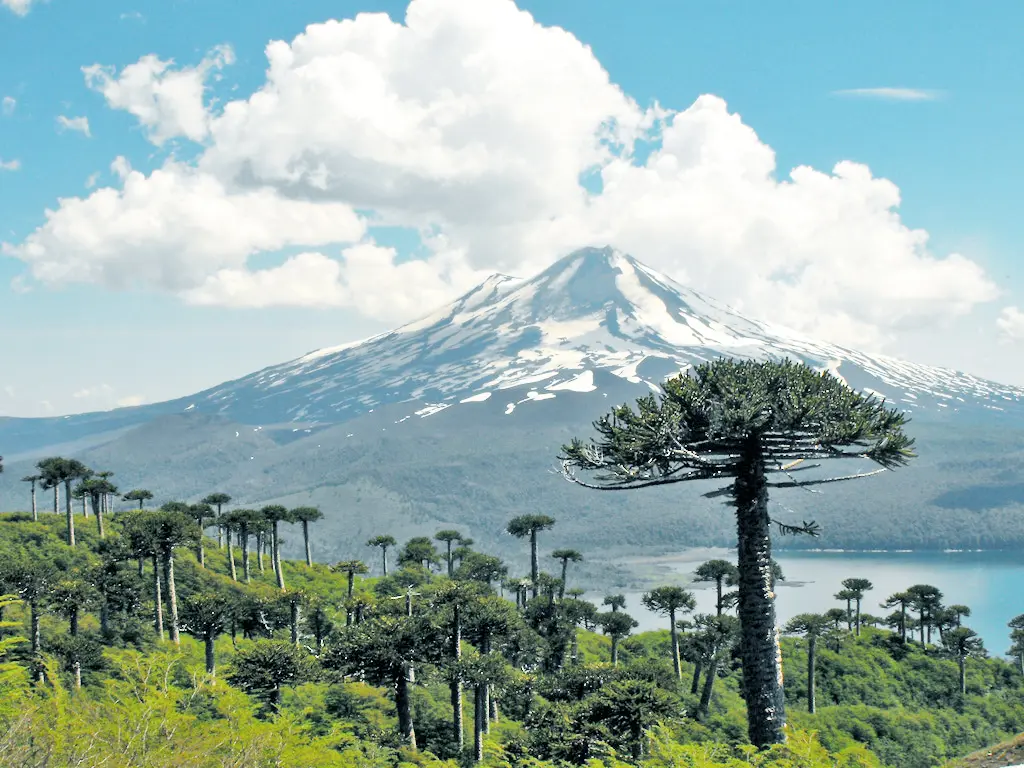 Volcán Llaima: Turismo y Aventura en la Araucanía - Qué volcán está cerca de Temuco volcan llaima turismo - Qué volcán está cerca de Temuco