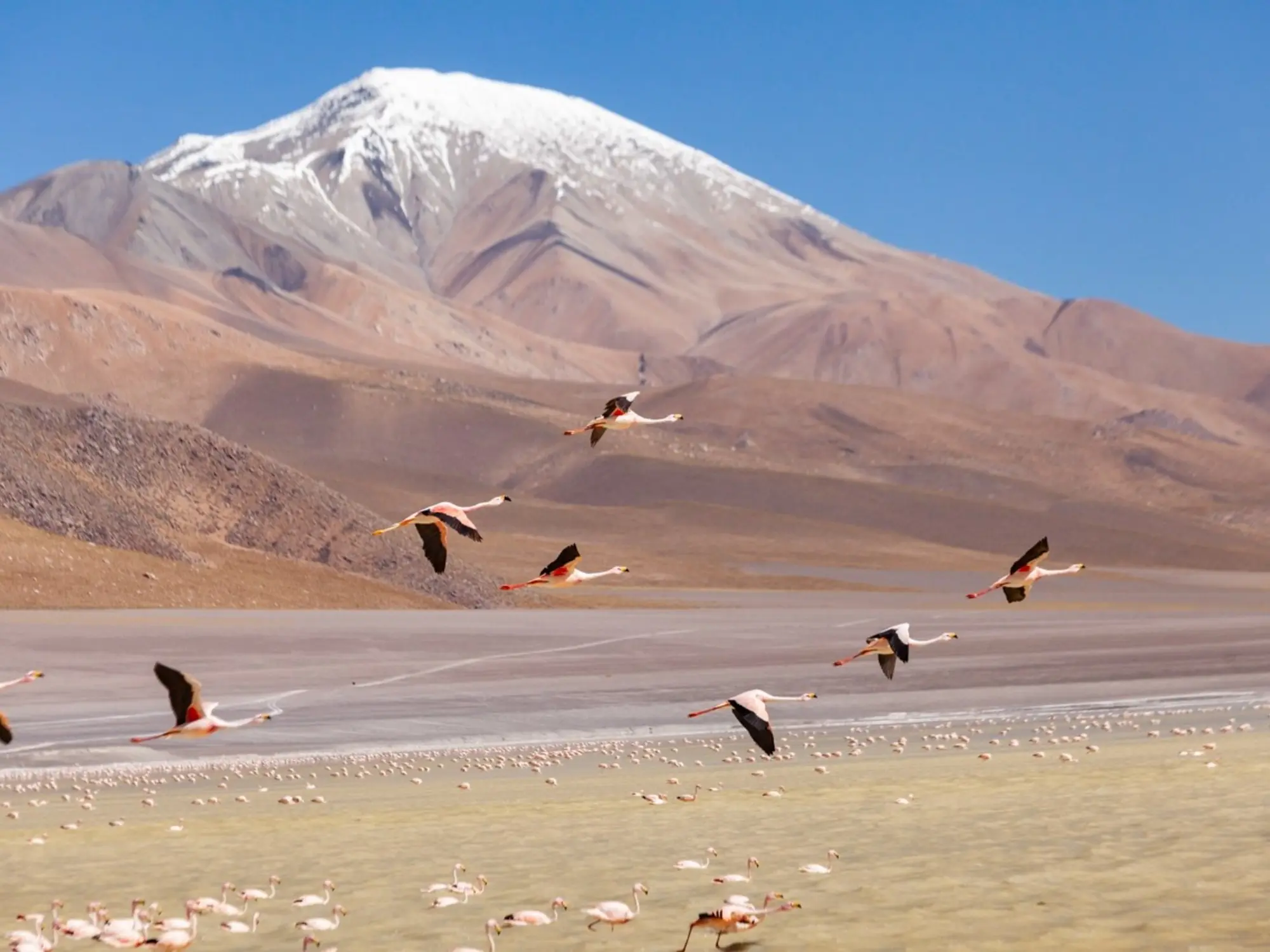 catamarca volcanes turismo - Qué volcanes hay en Catamarca