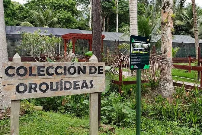 Lancetilla: Turismo y Biodiversidad en un Jardín Botánico Único - Quién creó el Jardín Botánico Lancetilla lancetilla turismo - Quién creó el Jardín Botánico Lancetilla