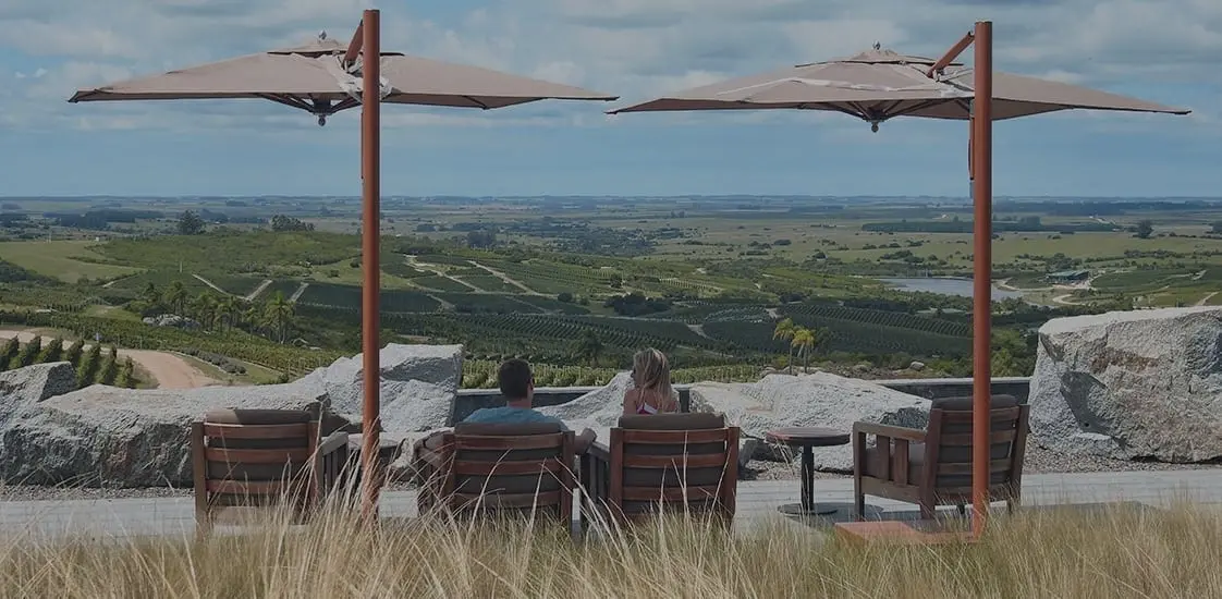 Bodega Garzón: Un referente del turismo enológico uruguayo - Quién es el dueño de Bodegas Garzón servicio turismo bodega garzon - Quién es el dueño de Bodegas Garzón