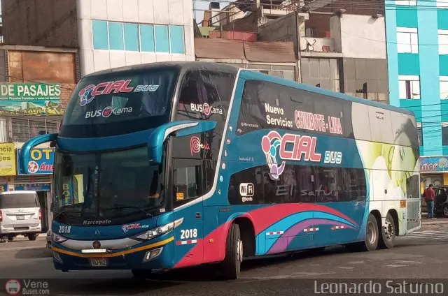Aeropuerto Internacional de Cochin: Un modelo de éxito en el turismo - Quién es el dueño de cial turismo cial - Quién es el dueño de cial
