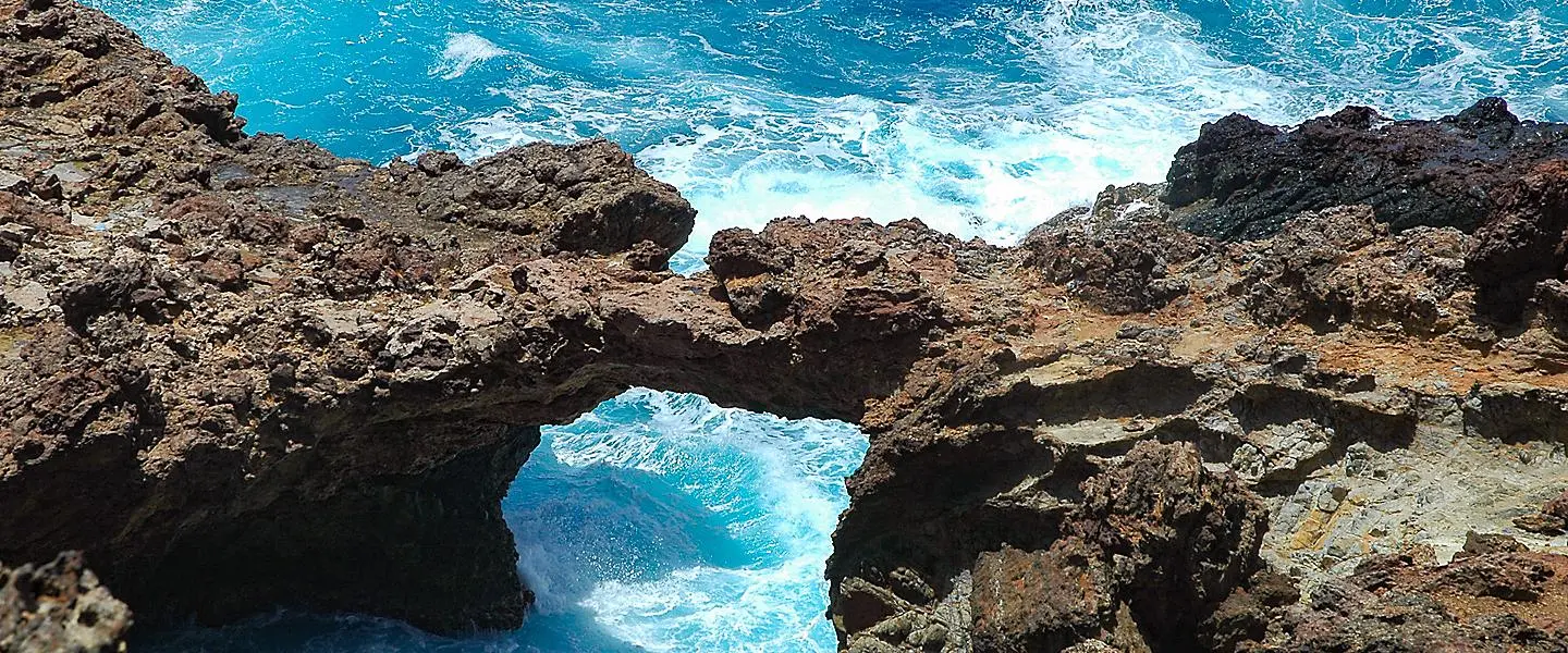 Crucero a Aruba: La Guía Definitiva para Tu Escala en la Isla Feliz - Royal Caribbean va a Aruba desde Florida aruba turismo crucero - Royal Caribbean va a Aruba desde Florida