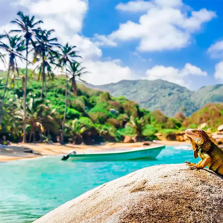 Colombia: Turismo Todo Incluido - La Guía Definitiva - Vale la pena el todo incluido en Colombia colombia turismo all inclusive - Vale la pena el todo incluido en Colombia