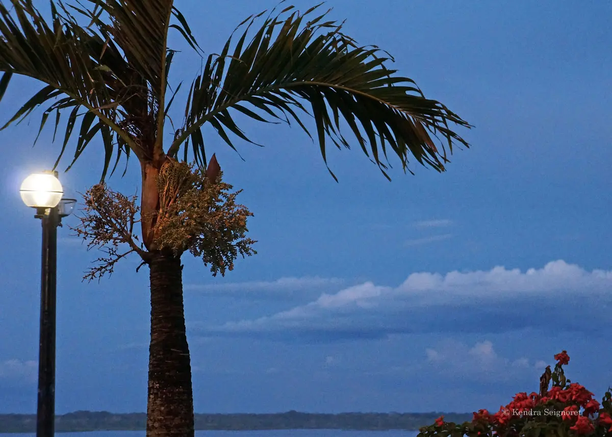 Iquitos: Una Guía Completa para el Turista - Vale la pena ir a Iquitos, Perú ciudad de iquitos turismo - Vale la pena ir a Iquitos, Perú
