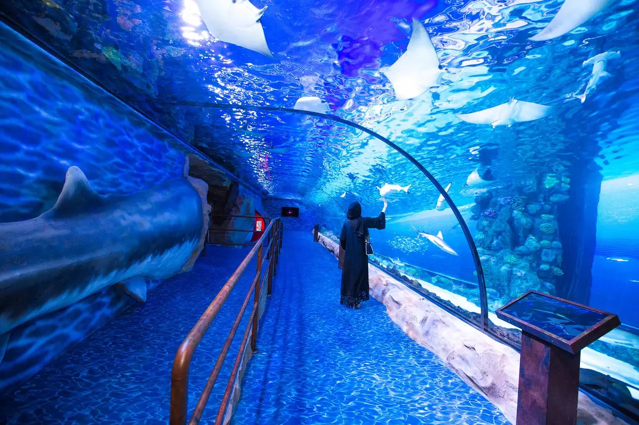 dubai explote turism in middle east - What do tourists typically do when visiting Dubai