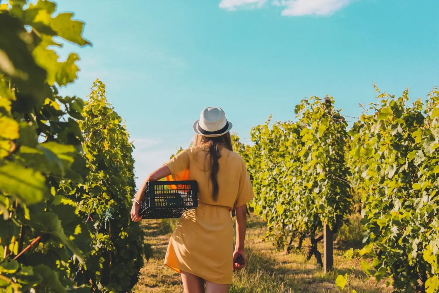 Turismo creativo: una nueva forma de viajar y experimentar el mundo - What is an example of art tourism creative turism - What is an example of art tourism