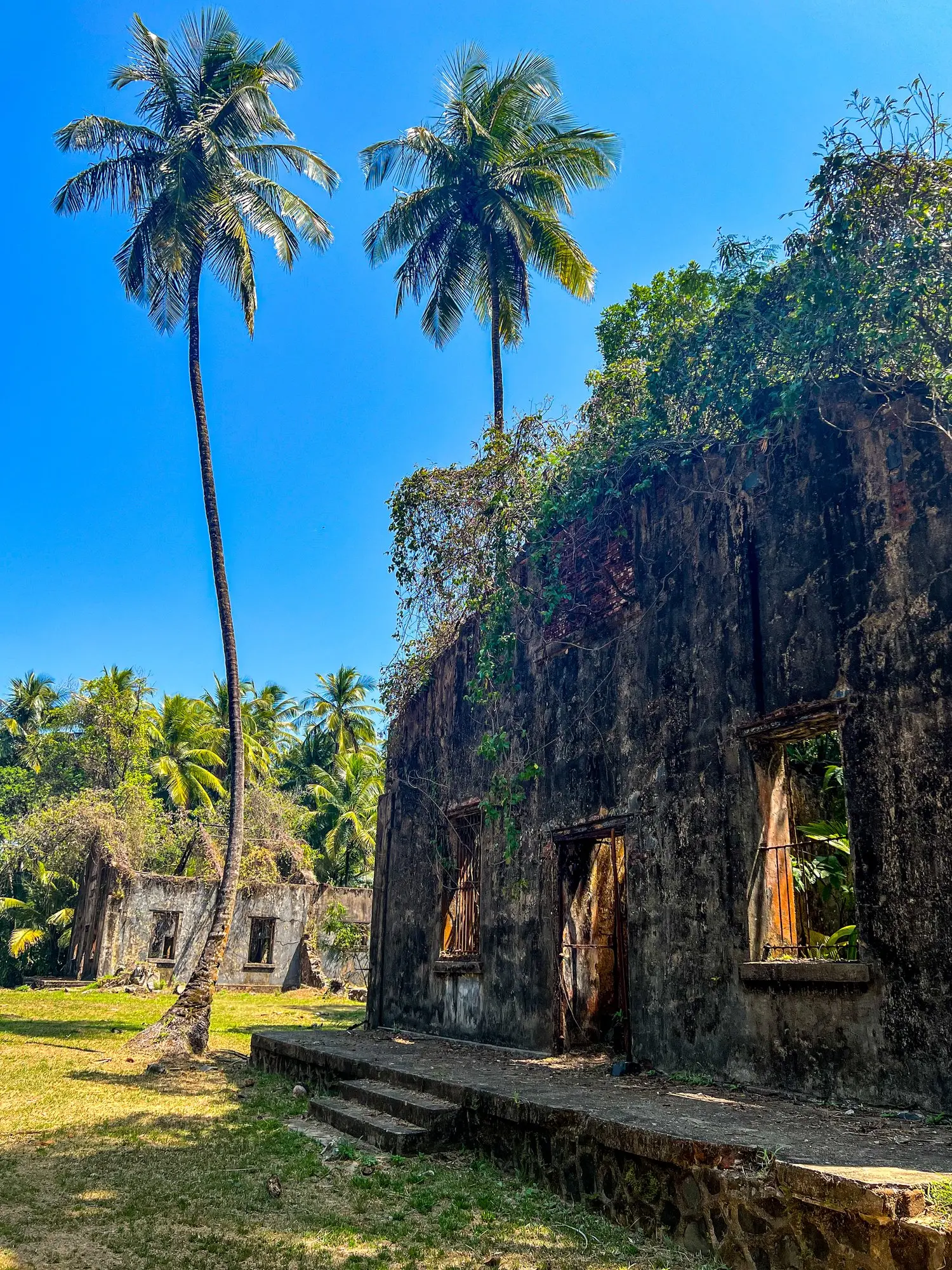 Turismo Cultural en la Guayana Francesa: Una Experiencia Única - What is the French Guiana best known for french guiana turismo cultural - What is the French Guiana best known for