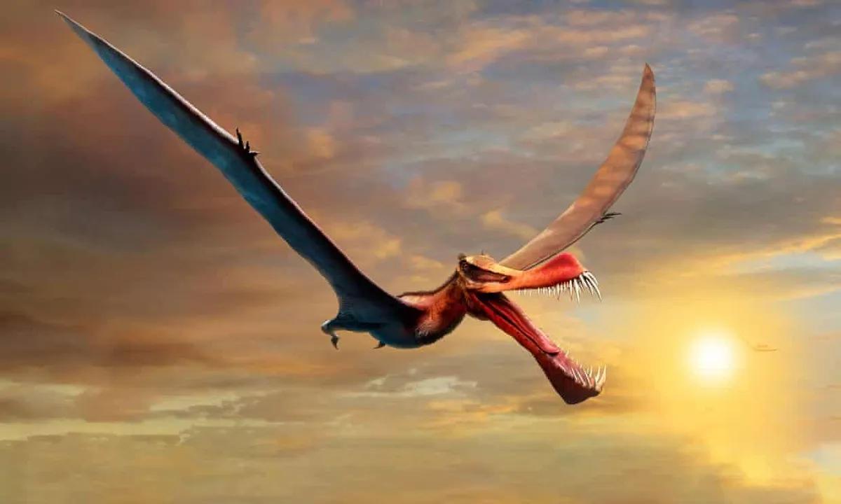 Dragones en Australia: Una exploración de la mitología y la realidad - What is the new dragon found in Australia australia turismo dragon - What is the new dragon found in Australia