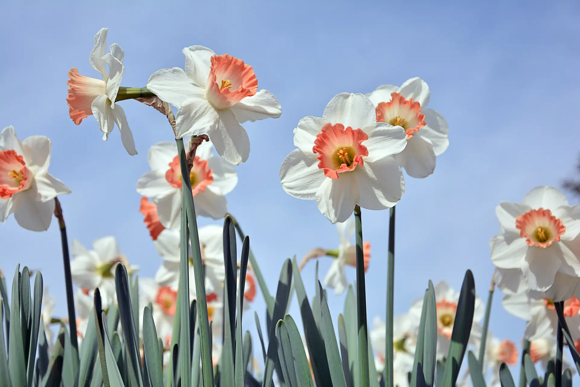 Actividades Turísticas en el Reino Unido en Marzo: La Guía Definitiva - What special days are in March UK activities turism uk march - What special days are in March UK