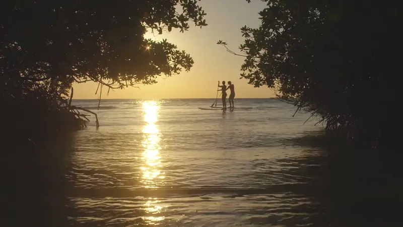 <b>Aruba Turismo</b>: La Guía Definitiva para tus Vacaciones - Why is Aruba so touristy aruba turism - Why is Aruba so touristy